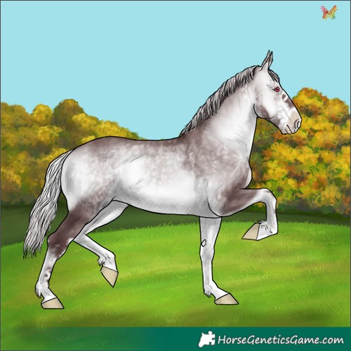Horse Color:White Spotted Chocolate Silver Brown Chinchilla Onyx 
