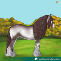 Horse Color:Chocolate Blue Onyx Chinchilla 