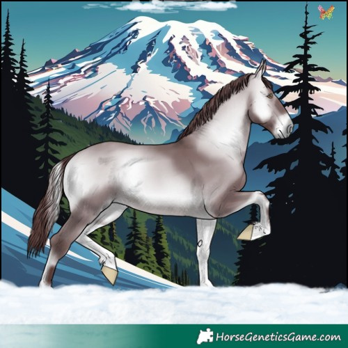 Horse Color:Chocolate Brown Chinchilla Onyx 