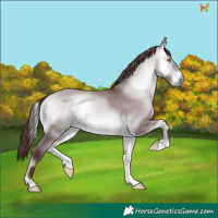 Horse Color:Chocolate Brown Chinchilla Onyx 