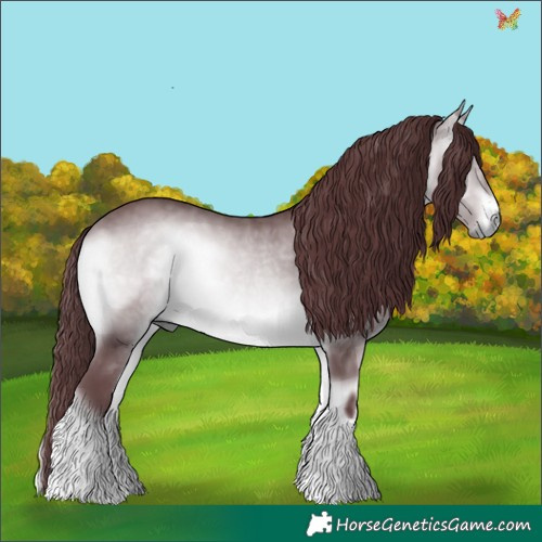 Horse Color:Chocolate Brown Chinchilla Onyx 