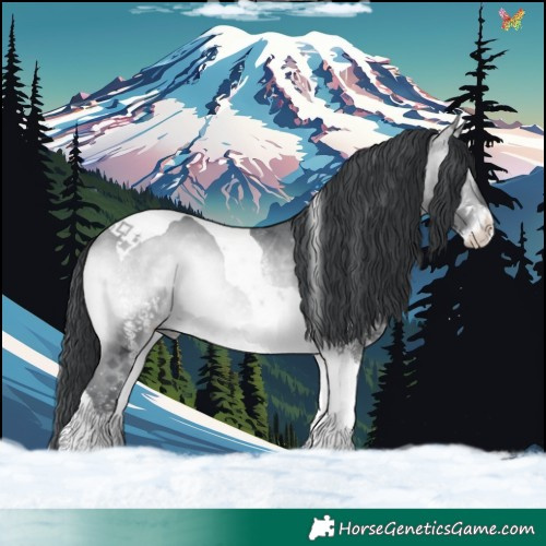 Horse Color:White Spotted Bay Chinchilla Onyx Tobiano 