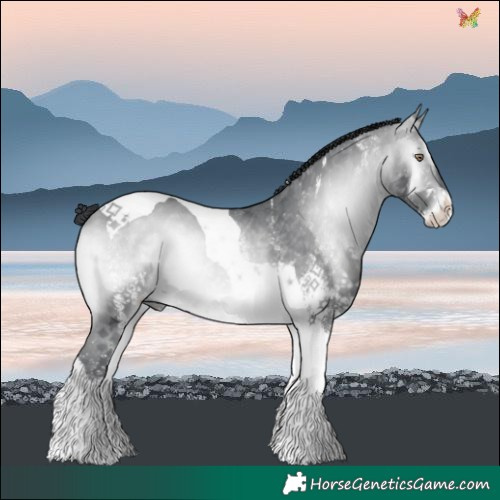 Horse Color:White Spotted Bay Chinchilla Onyx Tobiano 