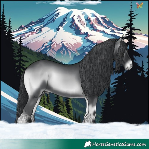 Horse Color:Blue Onyx Chinchilla 