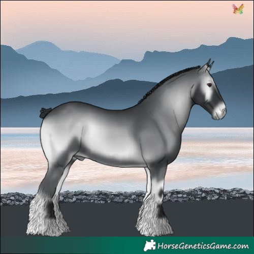 Horse Color:Blue Onyx Chinchilla 