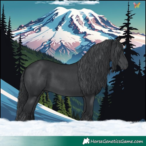 Horse Color:Black Chinchilla 