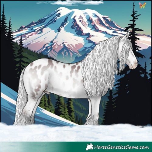 Horse Color:Chocolate Silver Bay Chinchilla Onyx Appaloosa 