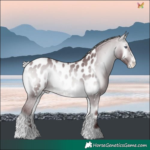 Horse Color:Chocolate Silver Bay Chinchilla Onyx Blanket 