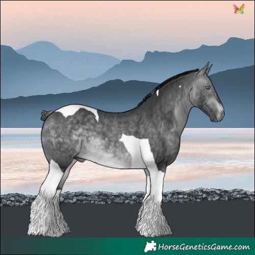 Horse Color:Brown Chinchilla Tobiano 