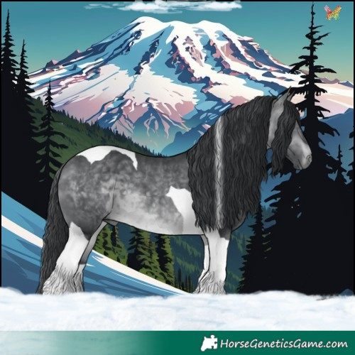 Horse Color:Brown Chinchilla Tobiano 