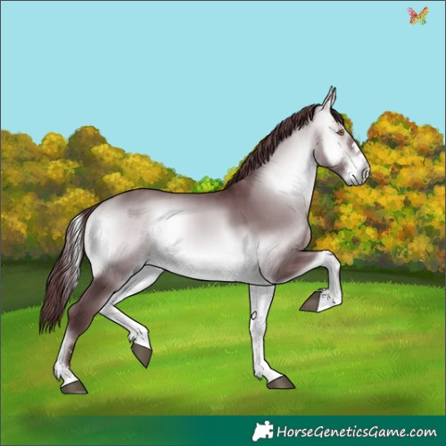 Horse Color:Chocolate Brown Chinchilla Onyx 