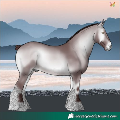 Horse Color:Chocolate Brown Chinchilla Onyx 