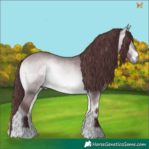 Horse Color:Chocolate Brown Chinchilla Onyx 