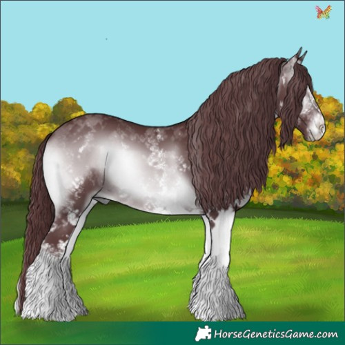 Horse Color:White Spotted Chocolate Brown Chinchilla Onyx 