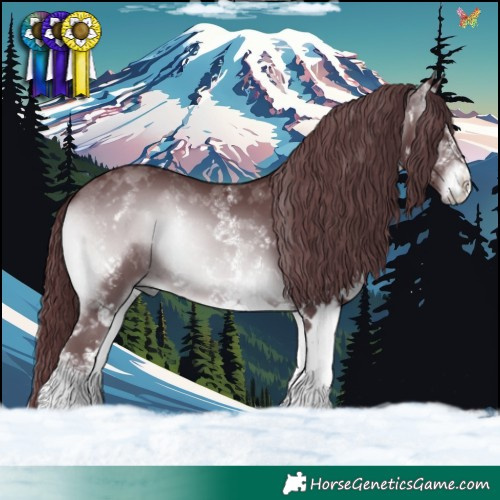 Horse Color:White Spotted Chocolate Brown Chinchilla Onyx 