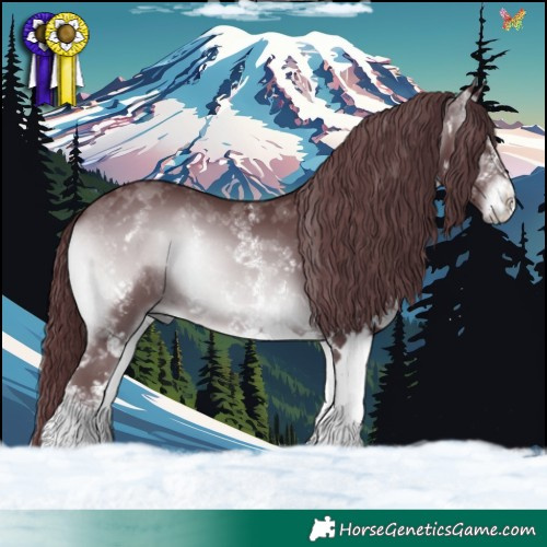 Horse Color:White Spotted Chocolate Brown Chinchilla Onyx 