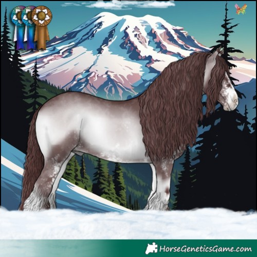 Horse Color:White Spotted Chocolate Blue Onyx Chinchilla 