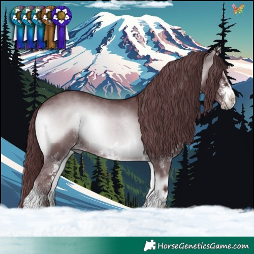 Horse Color:White Spotted Chocolate Blue Onyx Chinchilla 