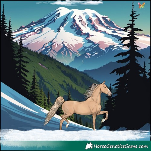 Horse Color:Gold Champagne