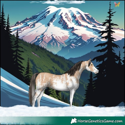 Horse Color:White Spotted Amber Champagne 