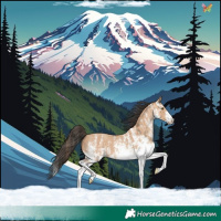 Horse Color:White Spotted Amber Champagne