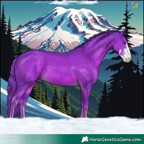 Horse Color:Watercolor Liver Chestnut Sabino 