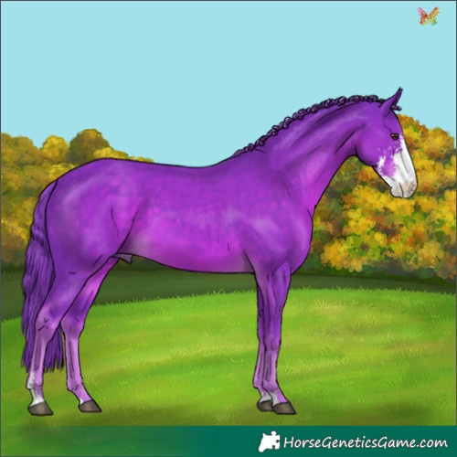 Horse Color:Watercolor Liver Chestnut Sabino 
