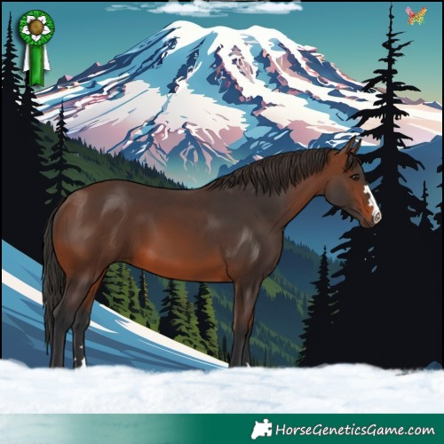 Horse Color:Brown 