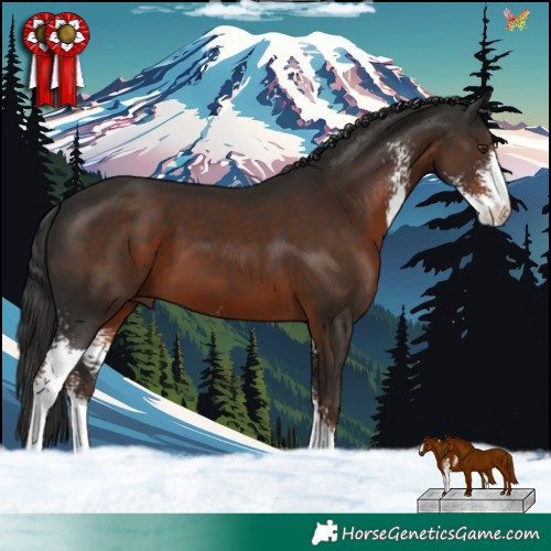 Horse Color:Liver Chestnut Sabino 