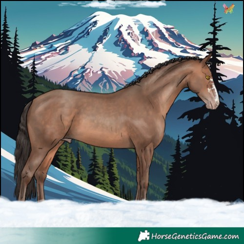 Horse Color:Sable Champagne 