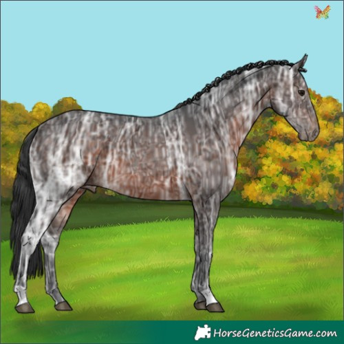 Horse Color:Brown Ice 