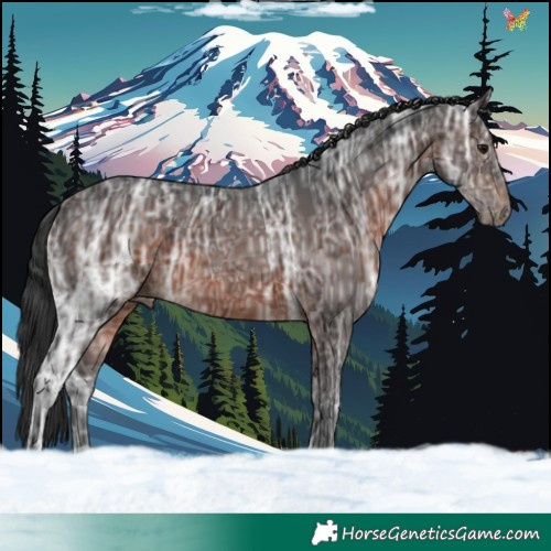 Horse Color:Brown Ice 