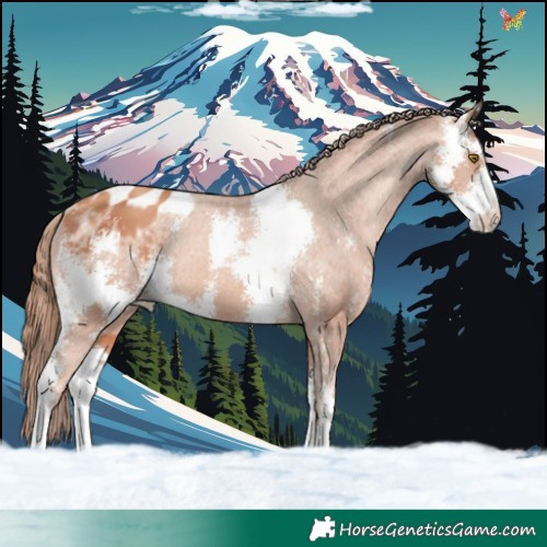 Horse Color:Gold Champagne Sabino Varnish 