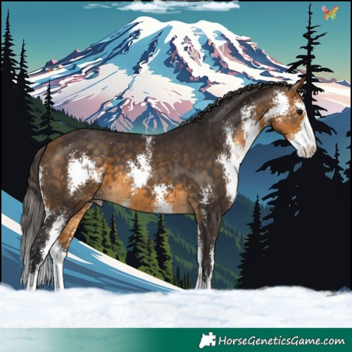 Horse Color:Buckskin Sabino 