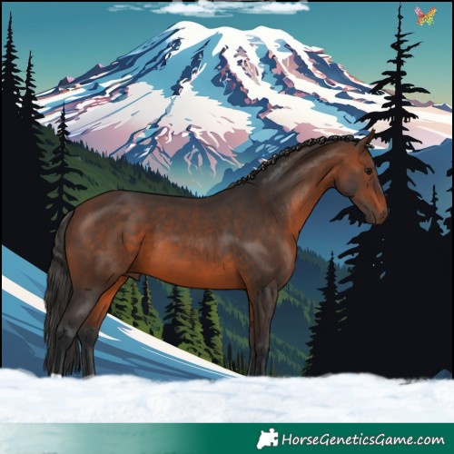 Horse Color:Brown 