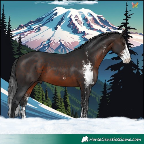 Horse Color:Brown Sabino 