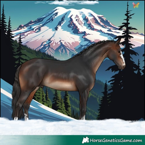 Horse Color:Brown 