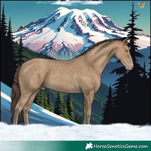 Horse Color:Classic Cream Champagne 