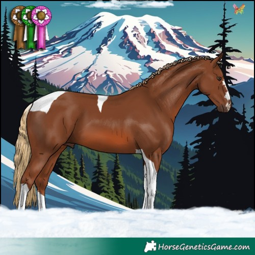 Horse Color:Chestnut Tobiano 