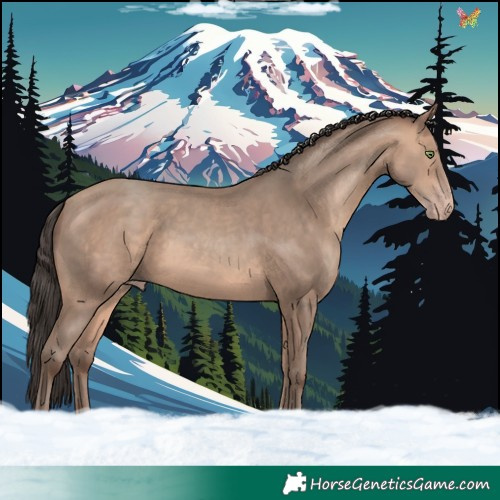Horse Color:Amber Champagne 