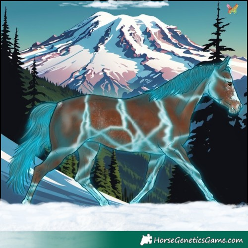 Horse Color:Thunderstruck Liver Chestnut Sabino Rabicano 