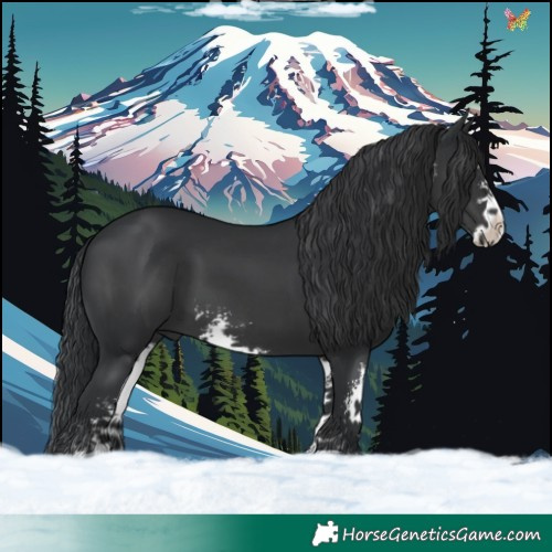 Horse Color:Black Sabino 