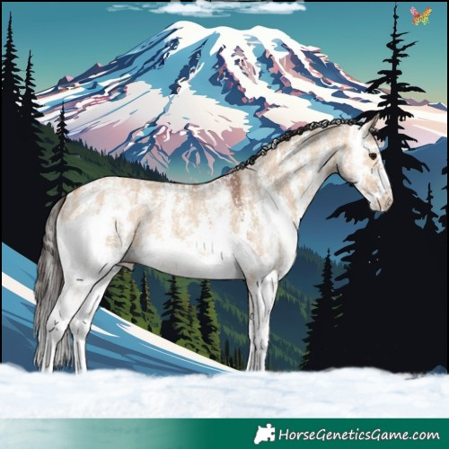 Horse Color:Bay Ice Dun Sabino Rabicano 