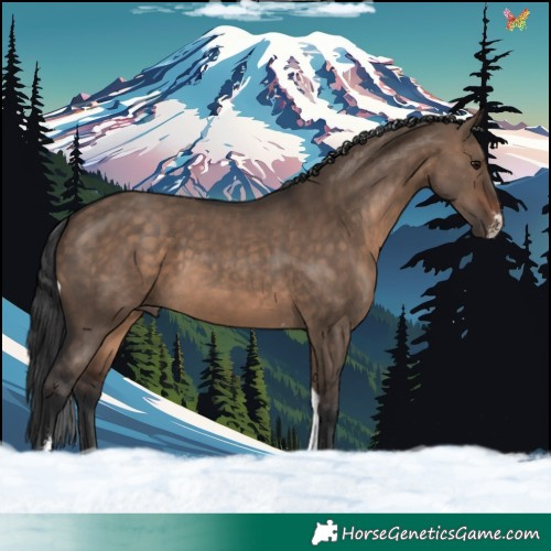 Horse Color:Brown Dun Sabino Tobiano 