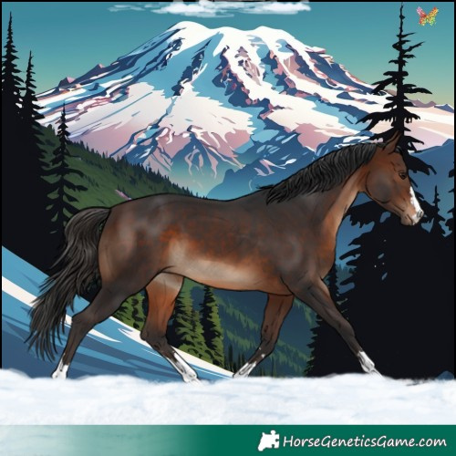 Horse Color:Brown 