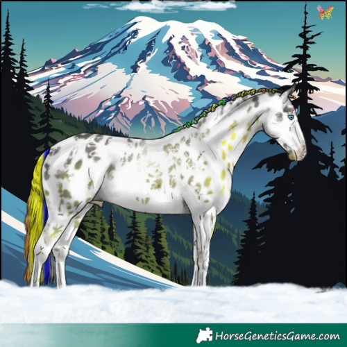Horse Color:Painted Black Sabino Splash Appaloosa 