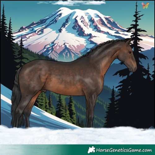 Horse Color:Brown 