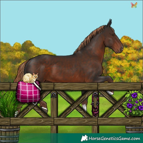Horse Color:Liver Chestnut Sabino 