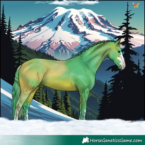 Horse Color:Watercolor Bay 
