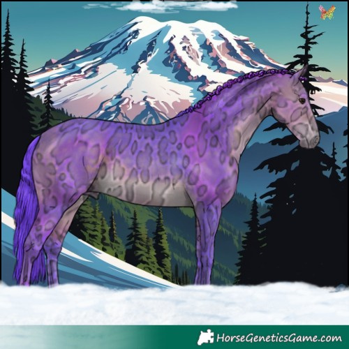 Horse Color:Watercolor Buckskin Ice 